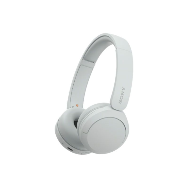 Sony WH-CH520 Overhead Headphone